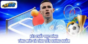 Thể Thao ST88 Nơi Quy Tụ Mọi Trận Hay Khắp Thế Giới